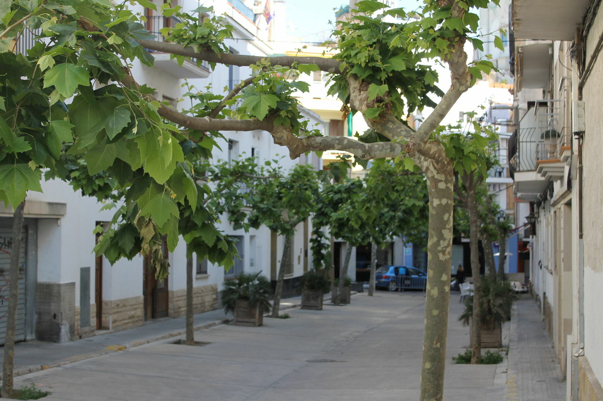 Sitges Apartment For Rent I Eksteriør billede